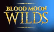 Blood Moon Wilds paypal slot