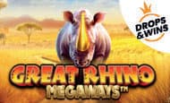 Great Rhino Megaways paypal slot