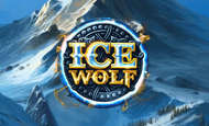 Ice Wolf paypal slot