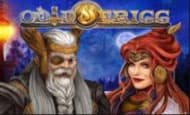 Odin & Frigg paypal slot