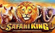 Safari King paypal slot