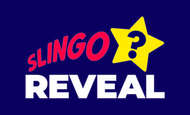 Slingo Reveal paypal slot