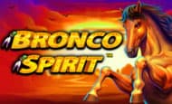 Bronco Spirit paypal slot