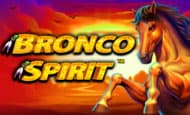 Bronco Spirit paypal slot