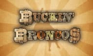Buckin Broncos paypal slot