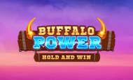 Buffalo Power: Hold and Win paypal slot