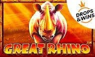 Great Rhino paypal slot