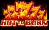 Hot to Burn paypal slot