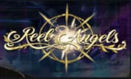 Reel Angel paypal slot