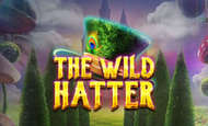 Wild Hatter paypal slot