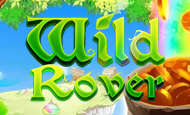 Wild Rover paypal slot