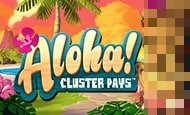 Aloha! paypal slot