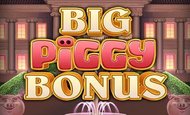 Big Piggy Bonus paypal slot