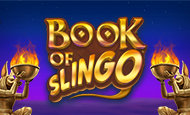 Book of Slingo paypal slot