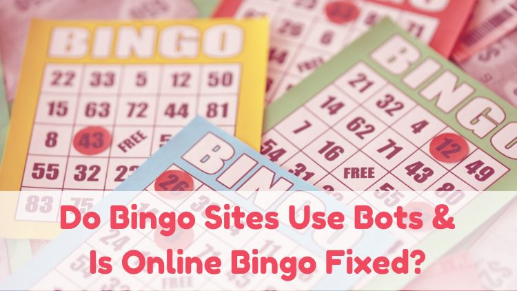 Do Bingo Sites Use Bots & Is Online Bingo Fixed?