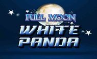 Full Moon White Panda paypal slot