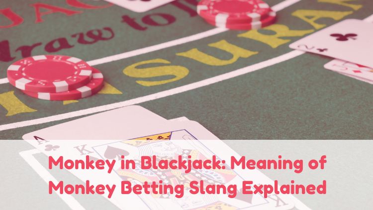 Monkey in Blackjack: Meaning of Monkey Betting Slang Explained