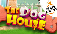 The Dog House paypal slot