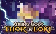 Viking Gods paypal slot