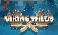 Viking Wilds paypal slot