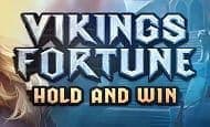 Vikings Fortune: Hold and Win paypal slot