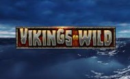 Vikings Go Wild paypal slot