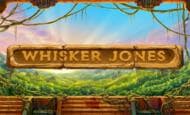Whisker Jones paypal slot