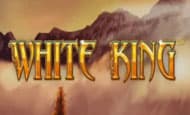 White King paypal slot