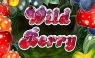 Wild Berry paypal slot