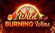 Wild Burning Wins: 5 Lines paypal slot