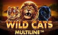 Wild Cats Multiline paypal slot
