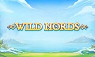Wild Nords paypal slot