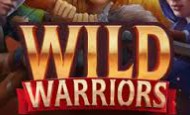 Wild Warriors paypal slot