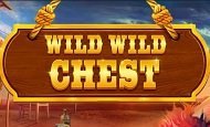 Wild Wild Chest paypal slot