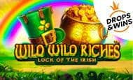 Wild Wild Riches paypal slot