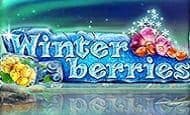 Winterberries paypal slot