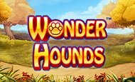 Wonder Hounds paypal slot
